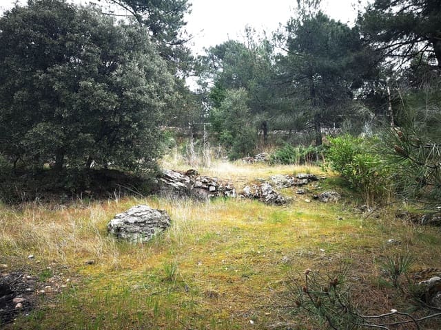 Bauplatz zu verkaufen in Robledo de Chavela - 62.000 € (Ref: 10182381)