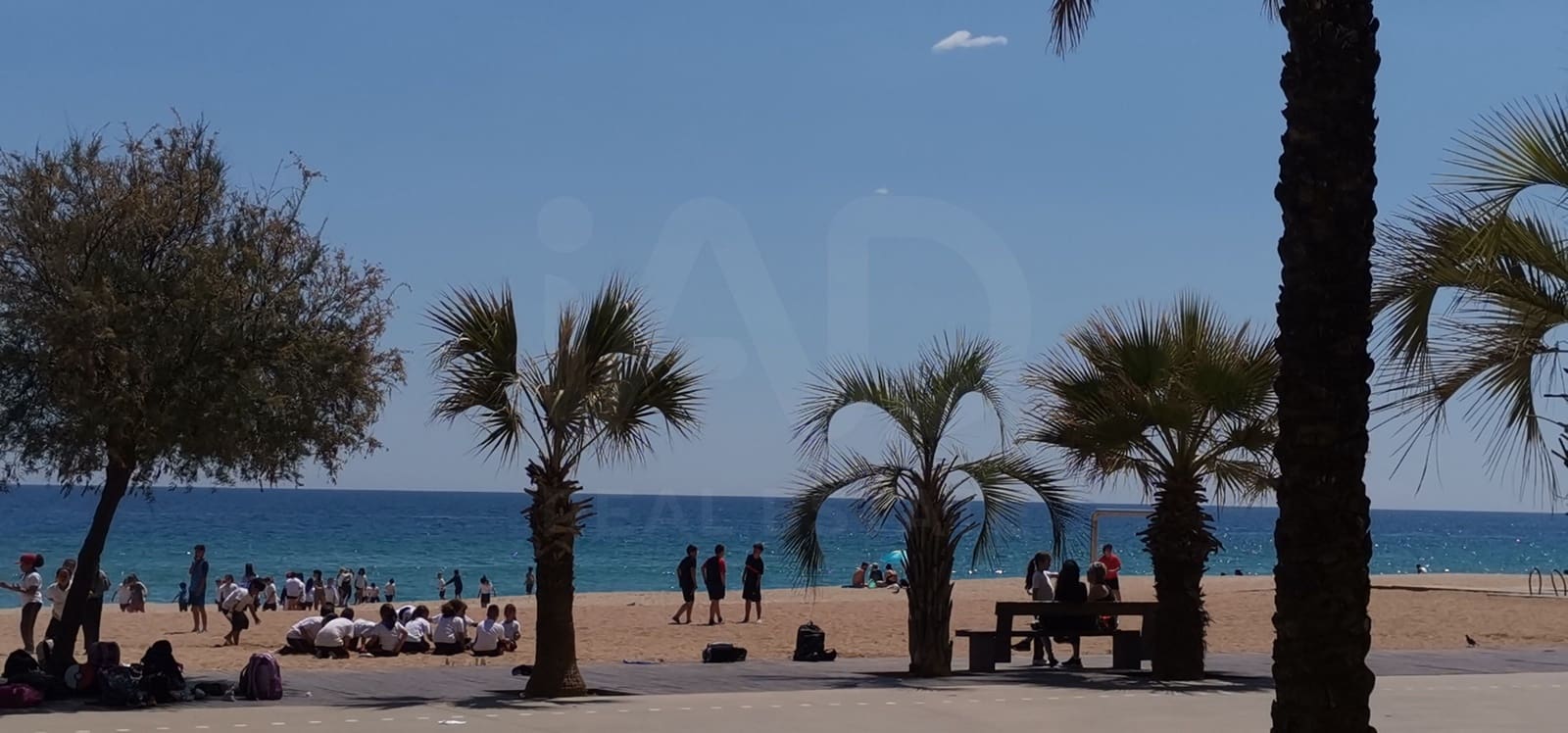 2 camera da letto Commerciale in vendita in Badalona - 385.000 € (Rif: 10183688)