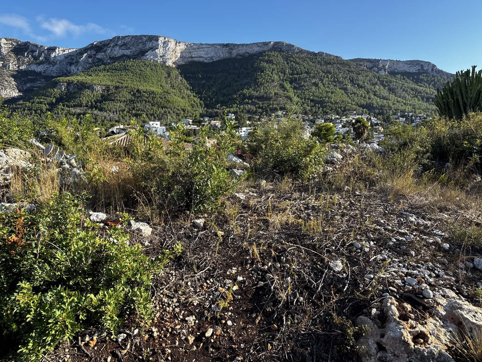 Bauplatz zu verkaufen in Denia - 260.000 € (Ref: 10183905)