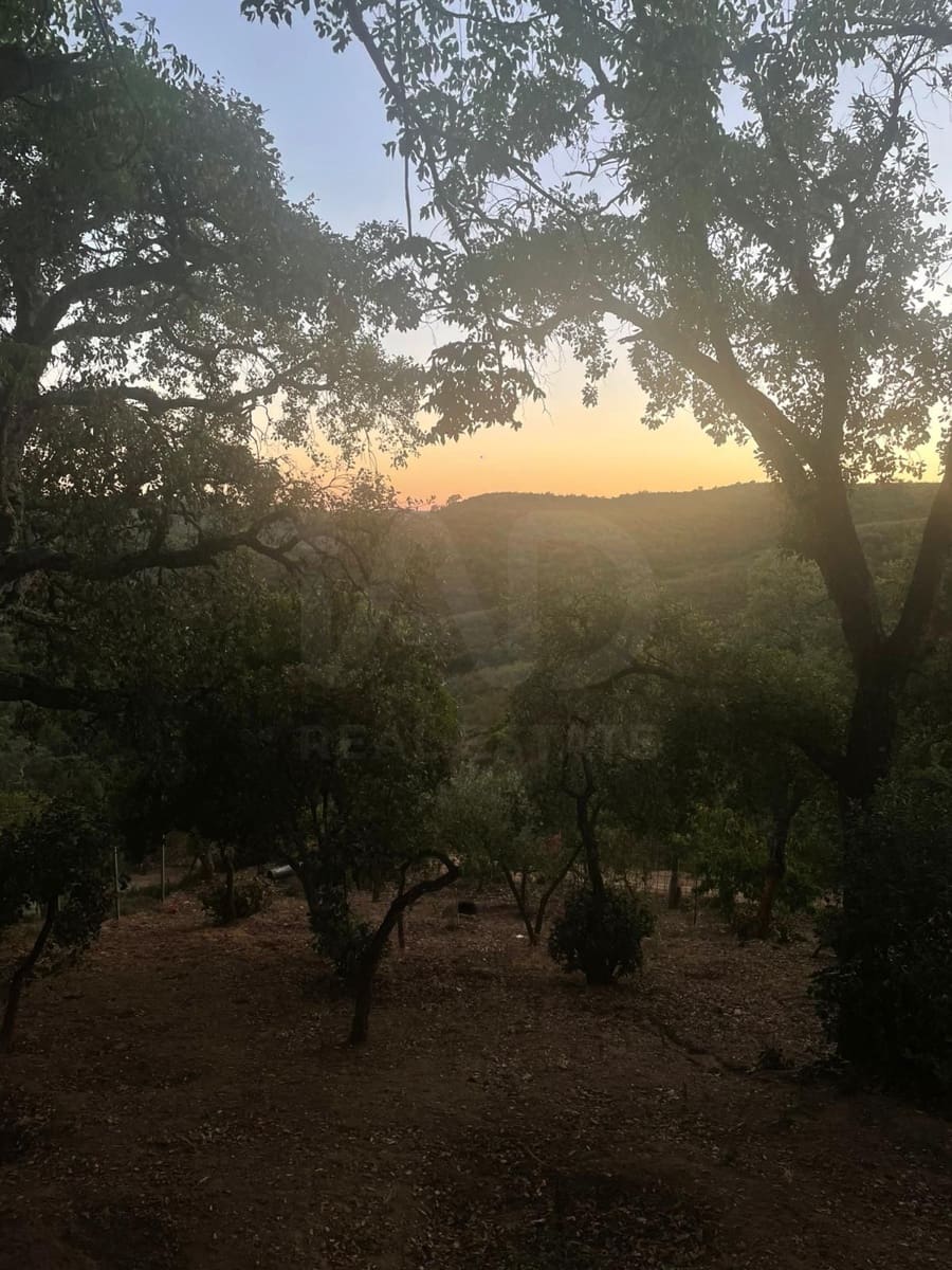 Ubebygd land til salgs i Berrocal - € 189 000 (Ref: 10184097)