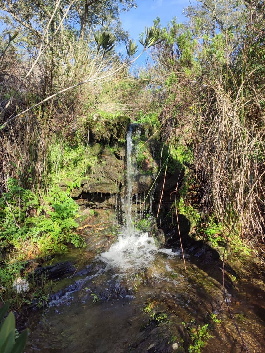 Ubebygd land til salgs i Berrocal - € 189 000 (Ref: 10184097)