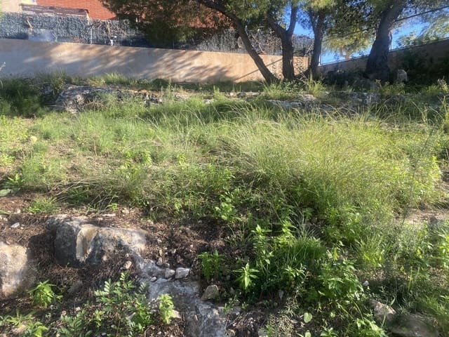 Terreno para Construção para venda em Roda de Barà - 75 000 € (Ref: 10184115)