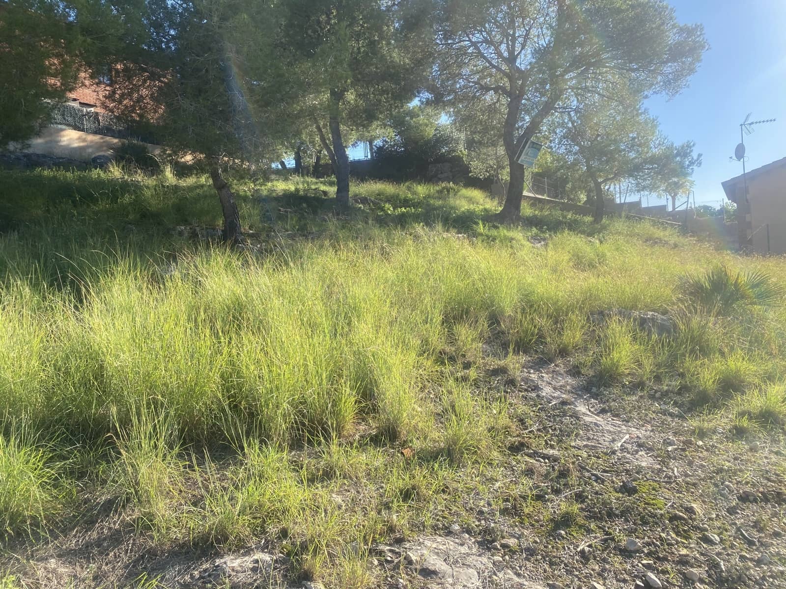 Bauplatz zu verkaufen in Roda de Bara - 75.000 € (Ref: 10184115)