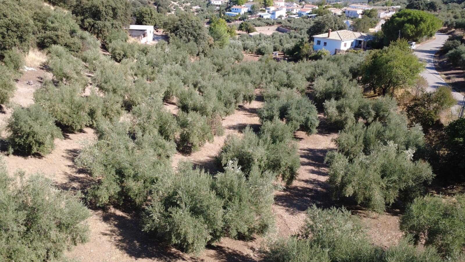 5 chambre Finca/Maison de Campagne à vendre à Grenade ville - 225 000 € (Ref: 9987342)