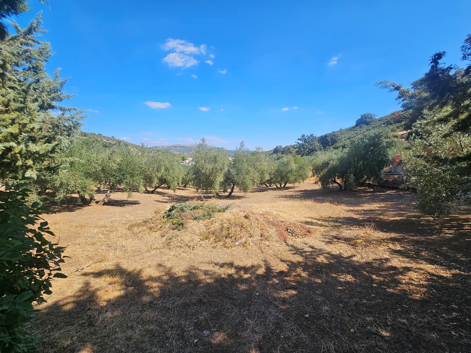 5 chambre Finca/Maison de Campagne à vendre à Grenade ville - 225 000 € (Ref: 9987342)