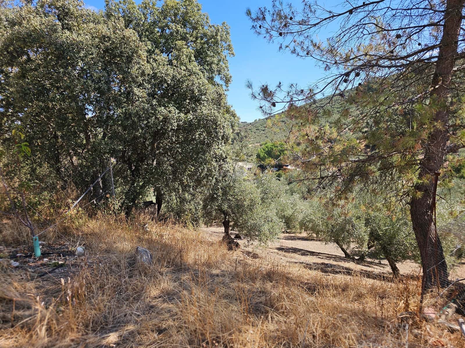 5 chambre Finca/Maison de Campagne à vendre à Grenade ville - 225 000 € (Ref: 9987342)