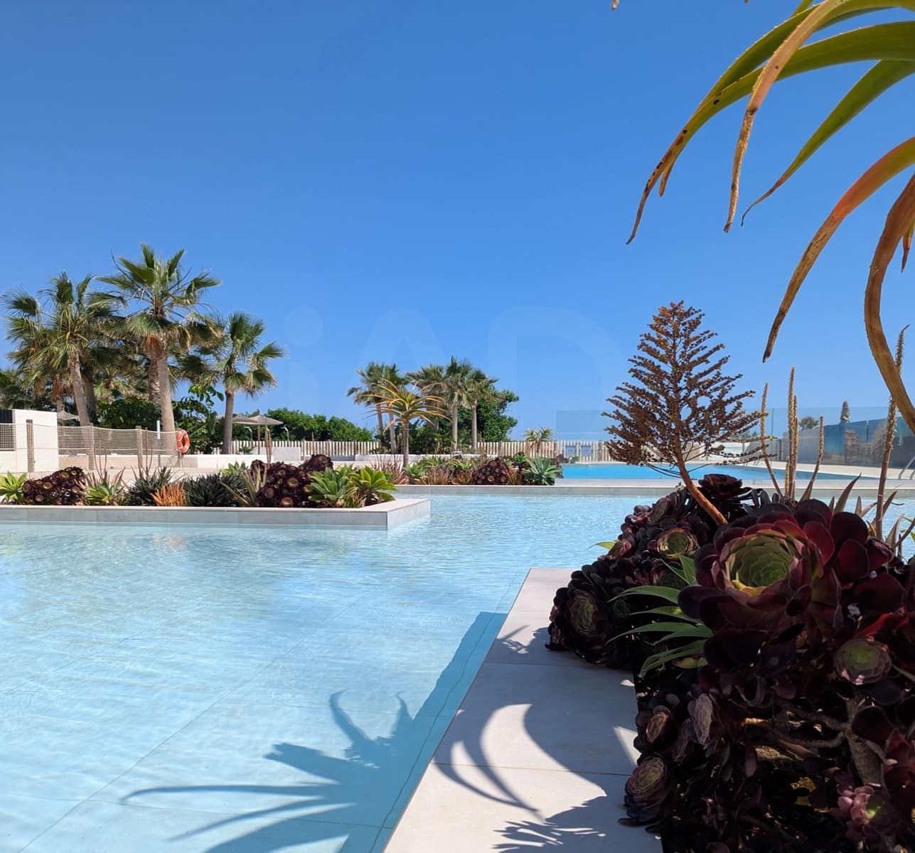 2 makuuhuone Kattohuoneisto myytävänä paikassa Alicante kaupunki mukana uima-altaan - 499 000 € (Ref: 9987353)