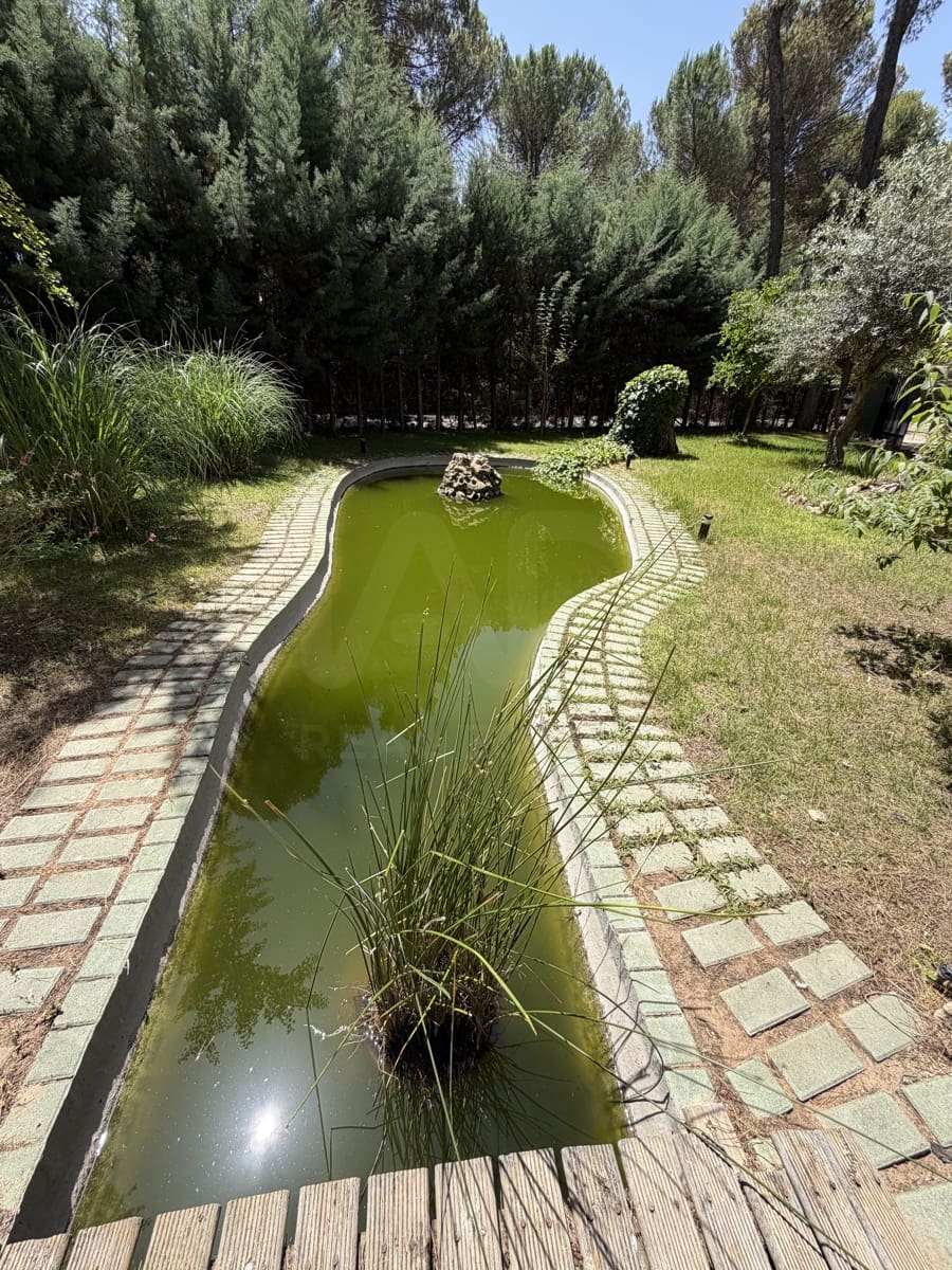 4 soverom Finca/Herregård til salgs i Albacete by med svømmebasseng - € 640 000 (Ref: 9987355)