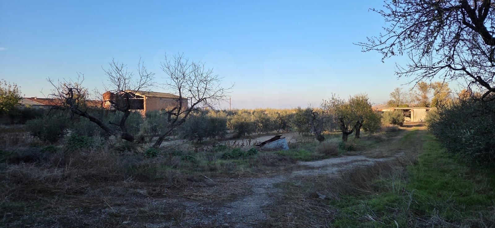 Terreno/Finca Rústica en Lleida ciudad en venta - 150.000 € (Ref: 9987367)