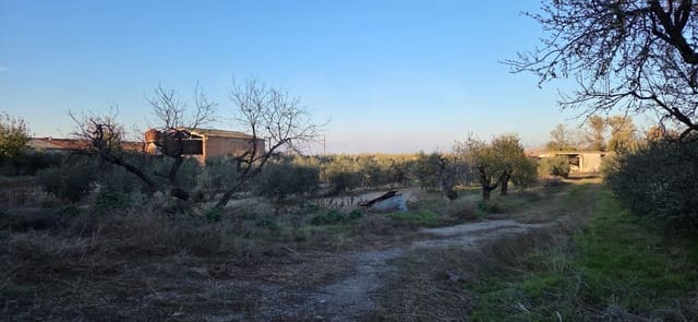 Grunde uden byggetilladelser til salg i Lleida by - € 150.000 (Ref: 9987367)