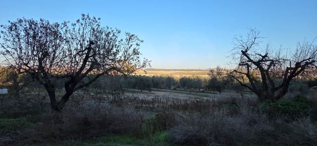Grunde uden byggetilladelser til salg i Lleida by - € 150.000 (Ref: 9987367)