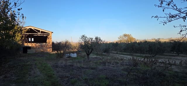 Grunde uden byggetilladelser til salg i Lleida by - € 150.000 (Ref: 9987367)
