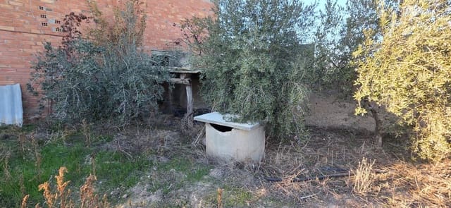 Grunde uden byggetilladelser til salg i Lleida by - € 150.000 (Ref: 9987367)