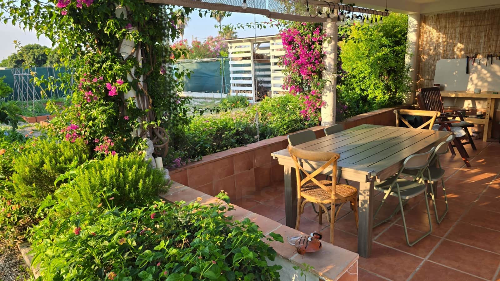 Finca/Herregård til salgs i Oliva - € 485 000 (Ref: 9987383)