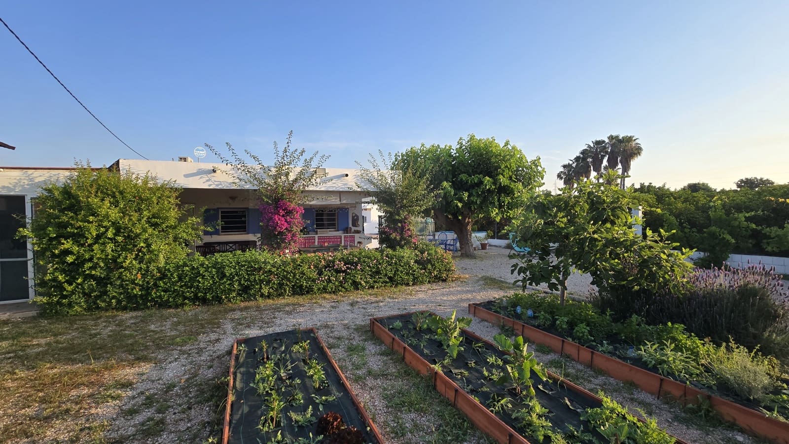 Finca/Herregård til salgs i Oliva - € 485 000 (Ref: 9987383)