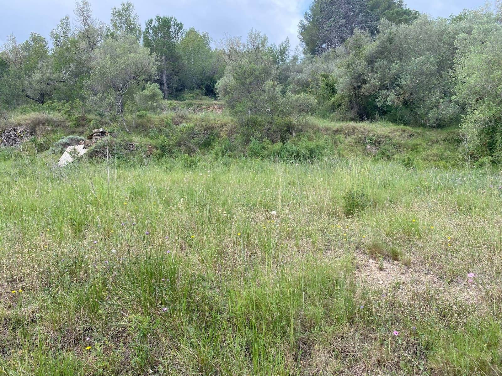 Bauplatz zu verkaufen in Tarragona Stadt - 71.900 € (Ref: 9987388)