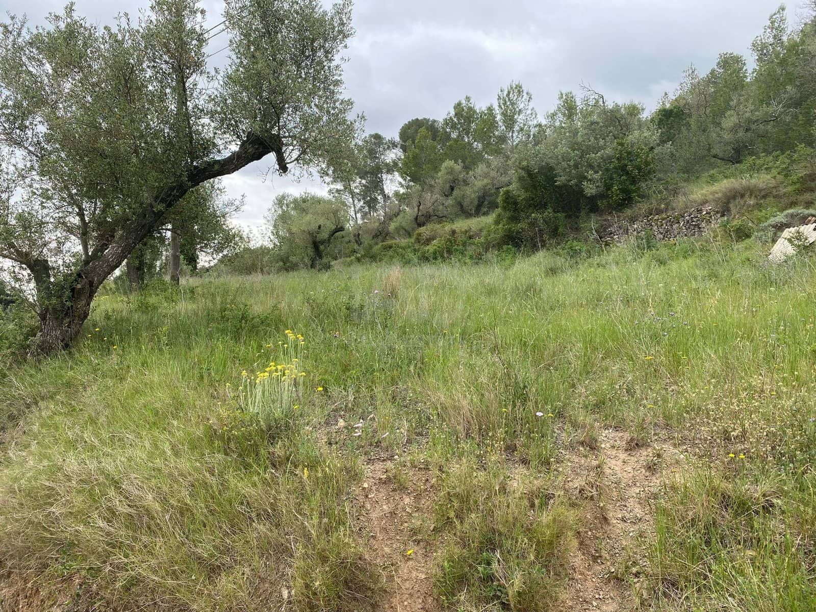 Bauplatz zu verkaufen in Tarragona Stadt - 71.900 € (Ref: 9987388)