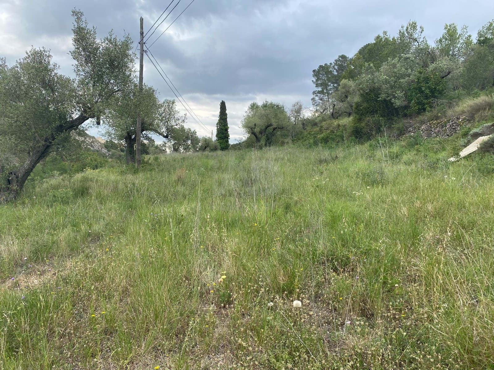 Bauplatz zu verkaufen in Tarragona Stadt - 71.900 € (Ref: 9987388)