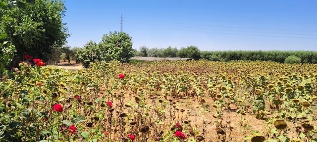 3 soverom Finca/Herregård til salgs i Ecija med svømmebasseng - € 800 000 (Ref: 9987426)