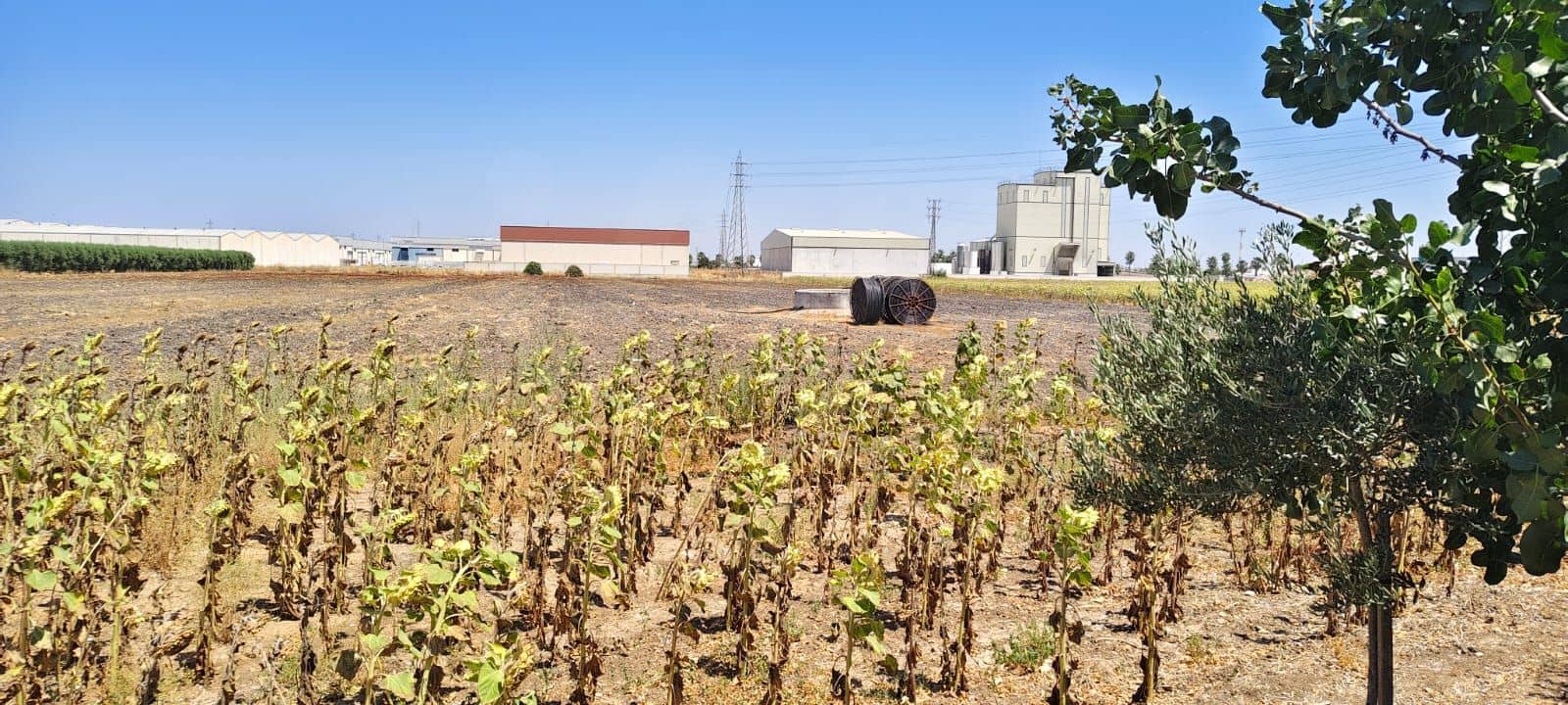 3 soverom Finca/Herregård til salgs i Ecija med svømmebasseng - € 800 000 (Ref: 9987426)