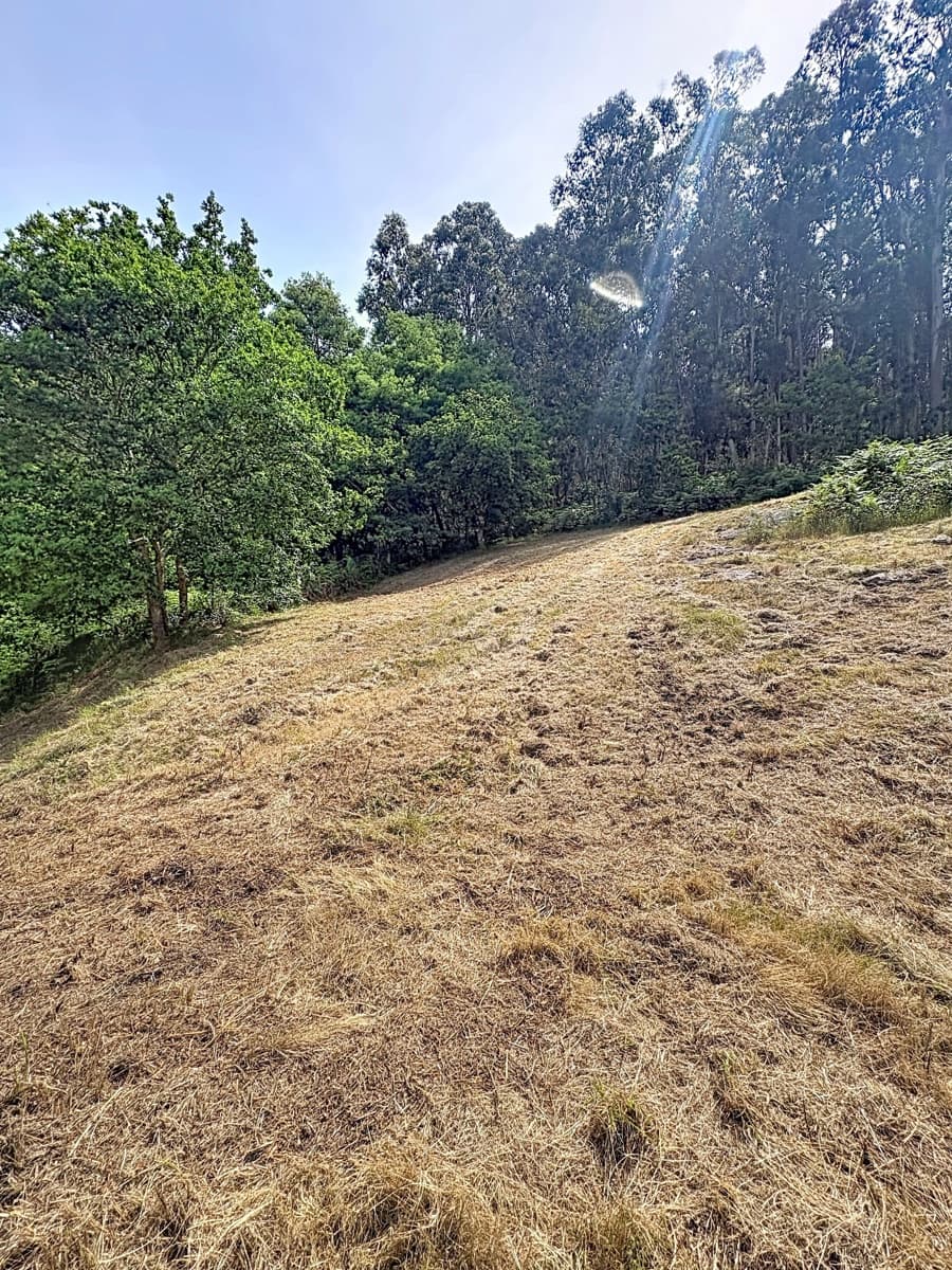 Grond te koop in Pontevedra stad - € 65.000 (Ref: 9987428)
