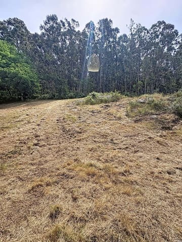Ubebygd land til salgs i Pontevedra by - € 65 000 (Ref: 9987428)