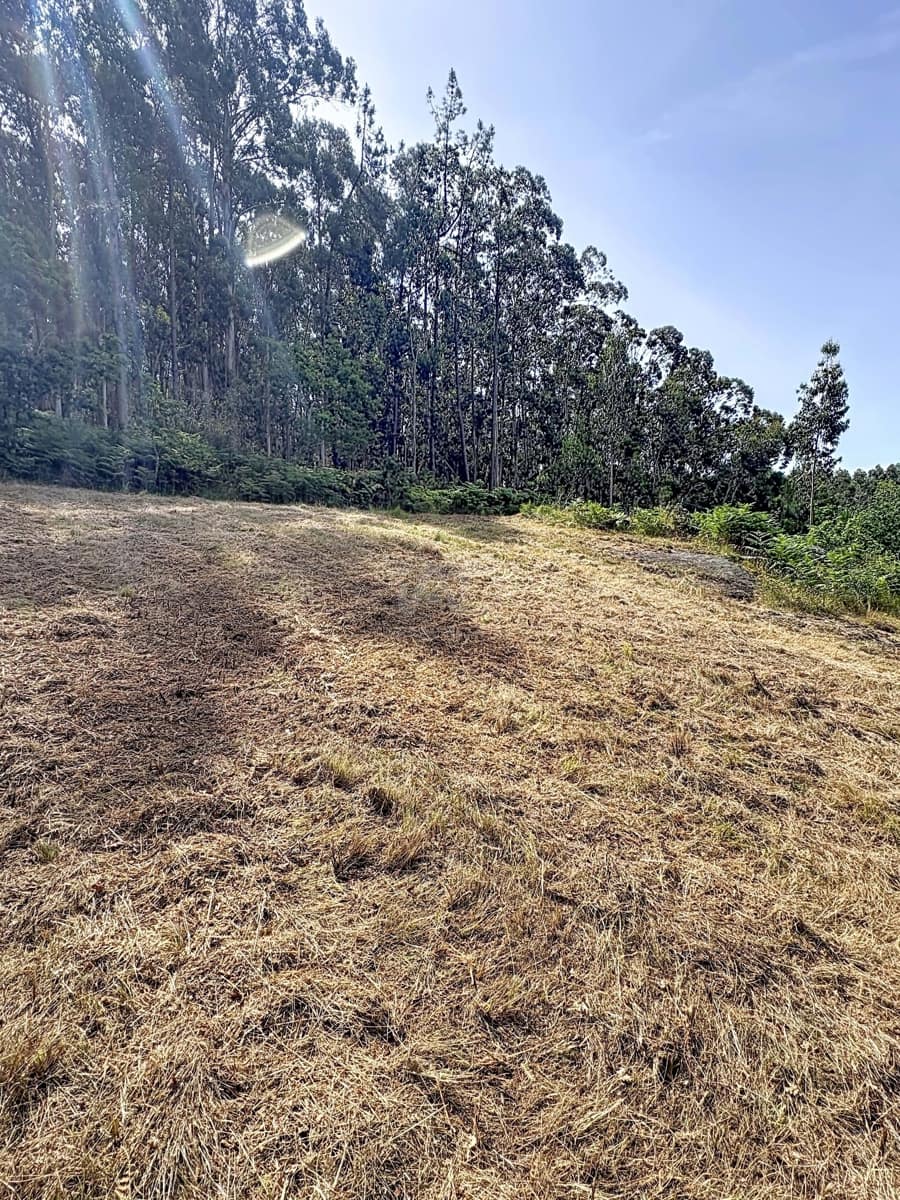 Grond te koop in Pontevedra stad - € 65.000 (Ref: 9987428)
