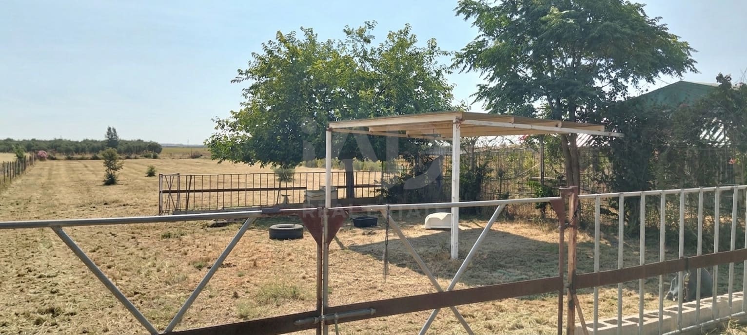 Mark till salu i Sevilla stad - 266 000 € (Ref: 9987430)