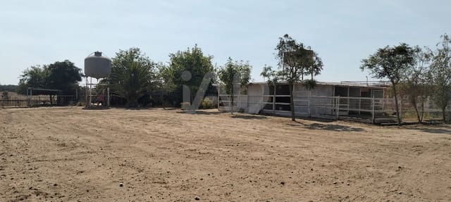 Mark till salu i Sevilla stad - 266 000 € (Ref: 9987430)