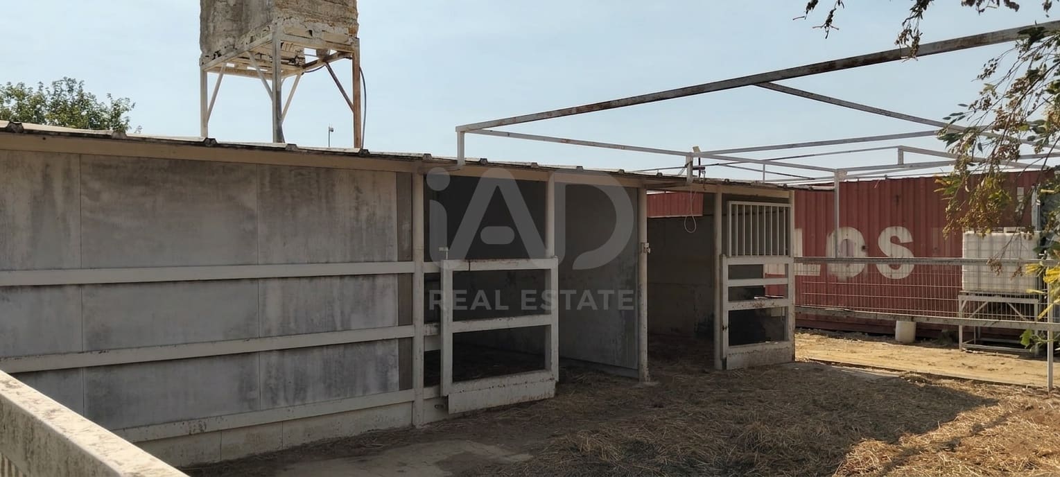 Mark till salu i Sevilla stad - 266 000 € (Ref: 9987430)