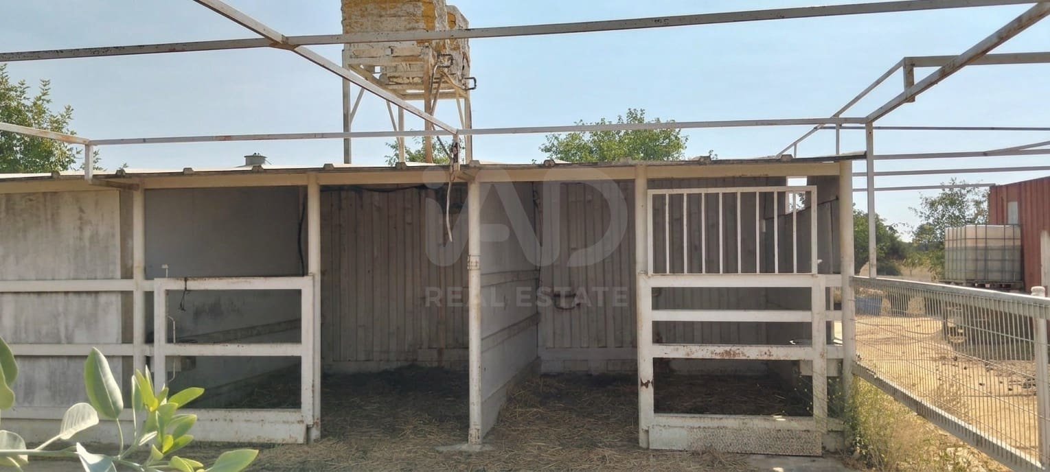 Mark till salu i Sevilla stad - 266 000 € (Ref: 9987430)