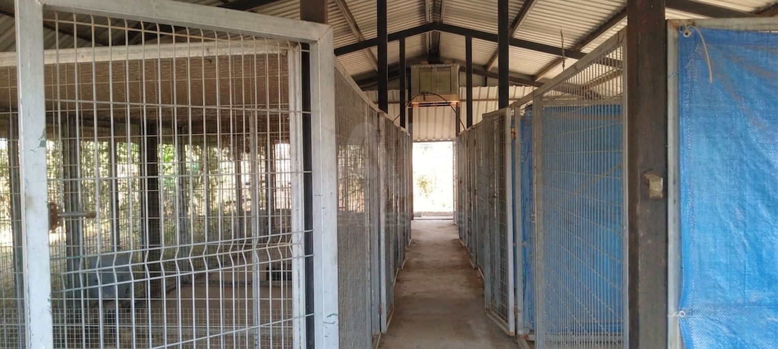 Mark till salu i Sevilla stad - 266 000 € (Ref: 9987430)