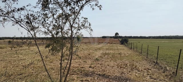 Mark till salu i Sevilla stad - 266 000 € (Ref: 9987430)