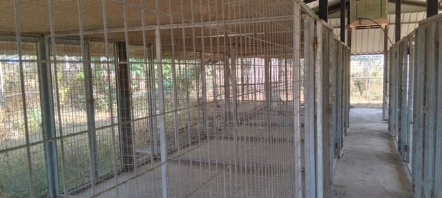 Mark till salu i Sevilla stad - 266 000 € (Ref: 9987430)