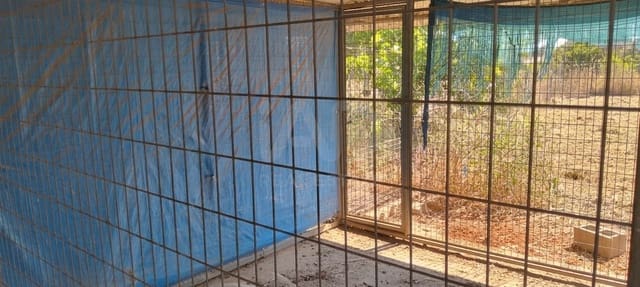Mark till salu i Sevilla stad - 266 000 € (Ref: 9987430)