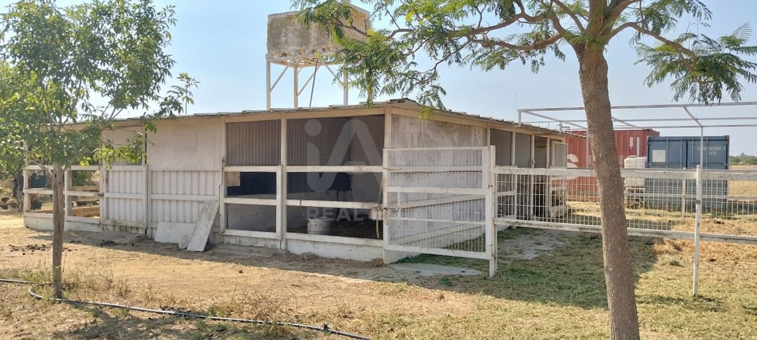 Mark till salu i Sevilla stad - 266 000 € (Ref: 9987430)