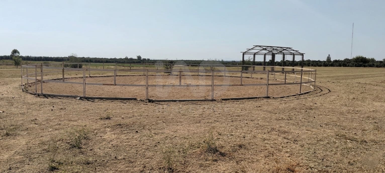 Mark till salu i Sevilla stad - 266 000 € (Ref: 9987430)