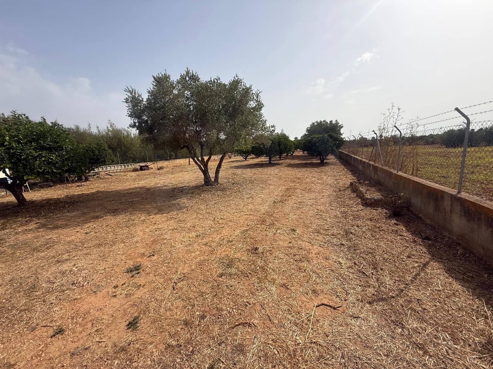 2 sovrum Hus till salu i Biniali - 567 994 € (Ref: 9987440)