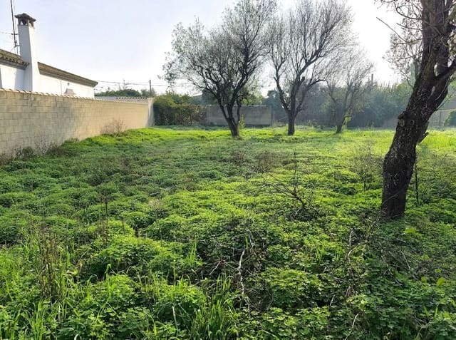 Grond te koop in Cádiz stad - € 103.630 (Ref: 9987441)