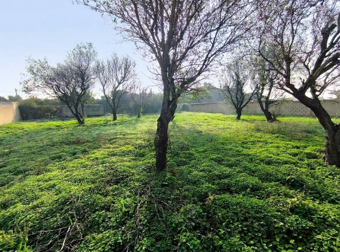 Landgrundstück zu verkaufen in Cadiz Stadt - 103.630 € (Ref: 9987441)