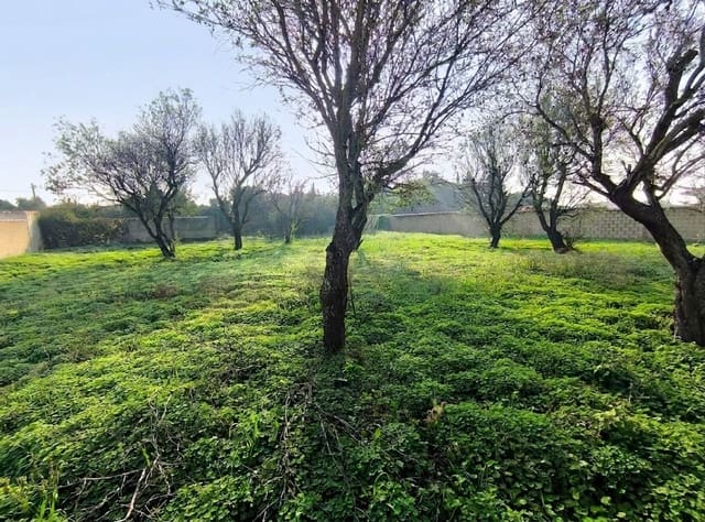 Grond te koop in Cádiz stad - € 103.630 (Ref: 9987441)