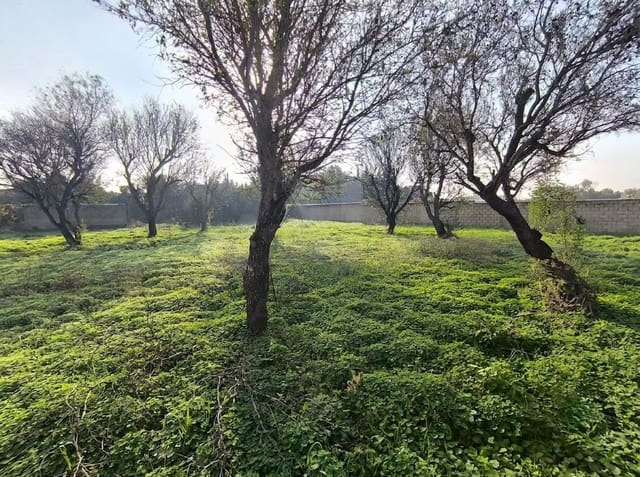 Grond te koop in Cádiz stad - € 103.630 (Ref: 9987441)