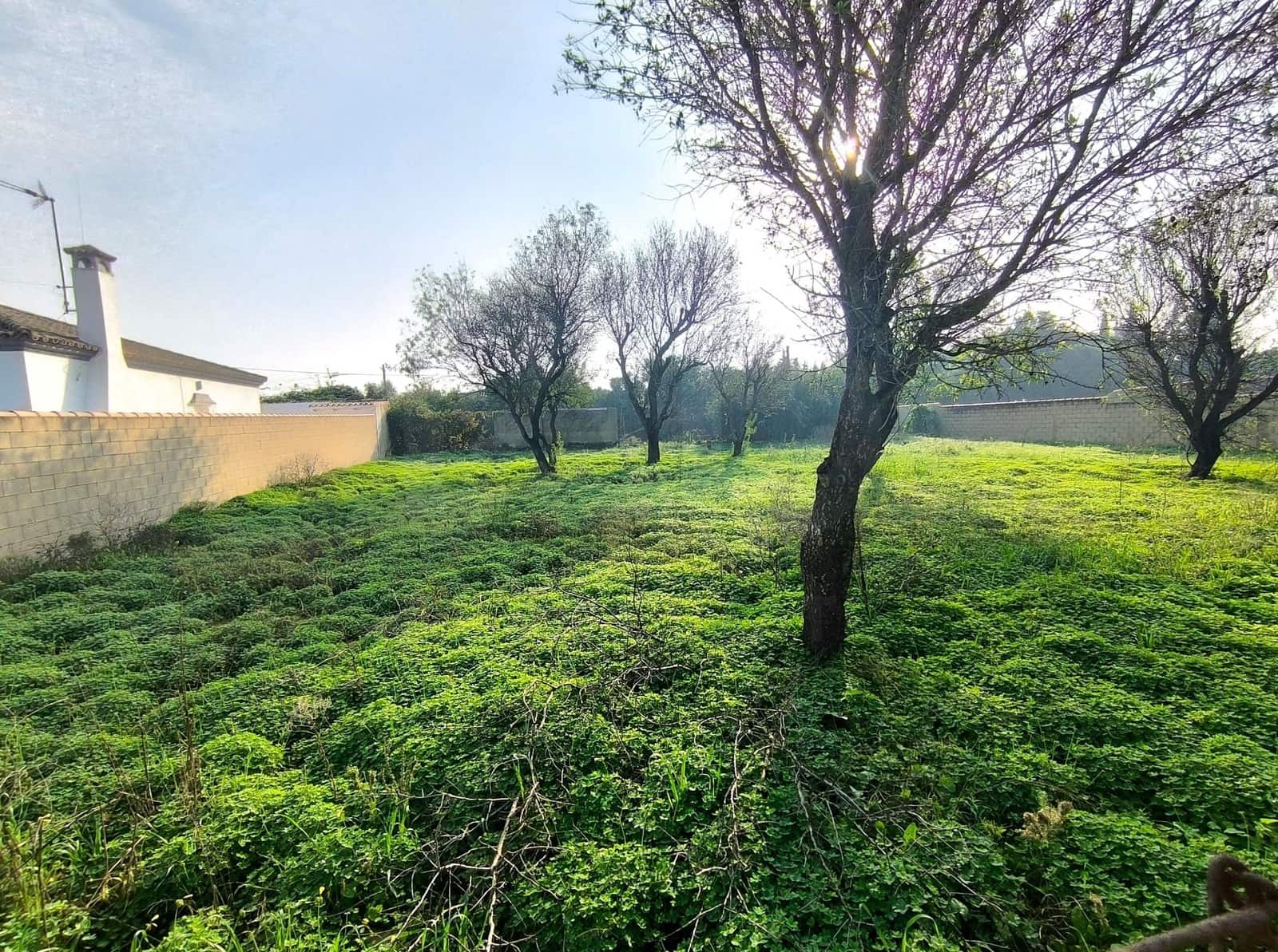 Landgrundstück zu verkaufen in Cadiz Stadt - 103.630 € (Ref: 9987441)