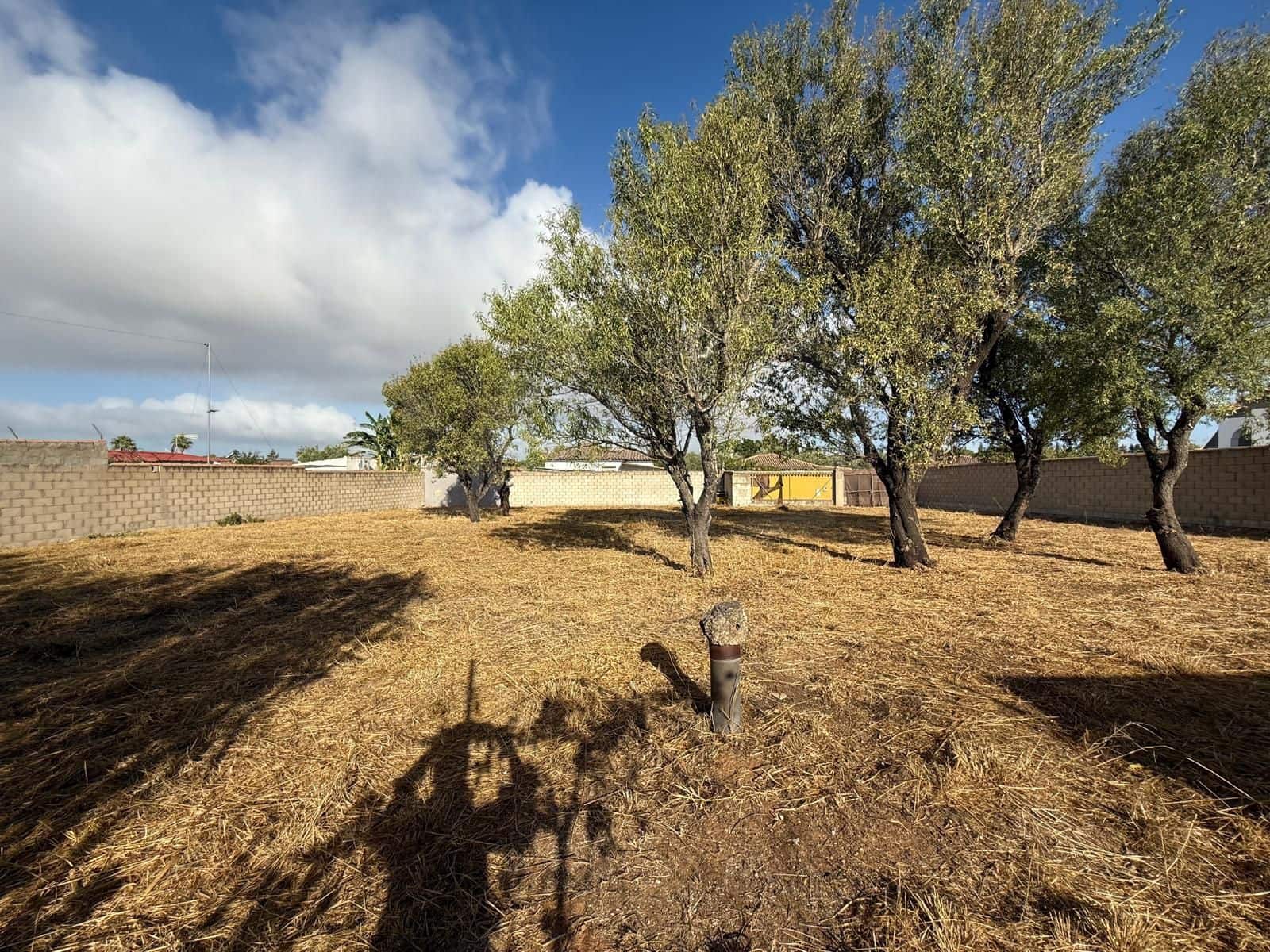 Undeveloped Land for sale in Chiclana de la Frontera - € 103,630 (Ref: 9987441)