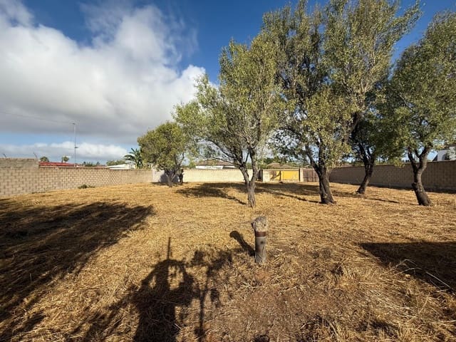 Ubebygd land til salgs i Chiclana de la Frontera - € 103 630 (Ref: 9987441)