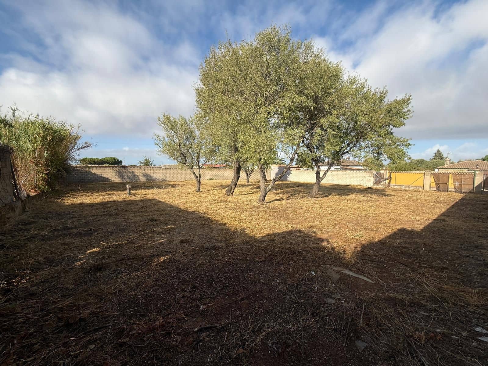 Undeveloped Land for sale in Chiclana de la Frontera - € 103,630 (Ref: 9987441)