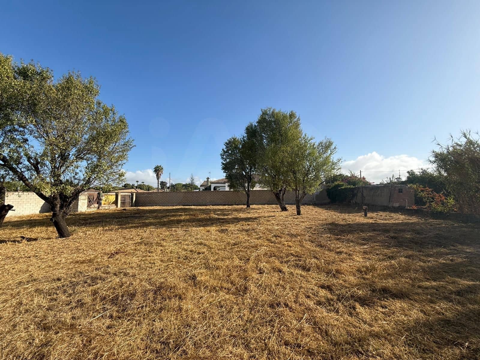 Undeveloped Land for sale in Chiclana de la Frontera - € 103,630 (Ref: 9987441)