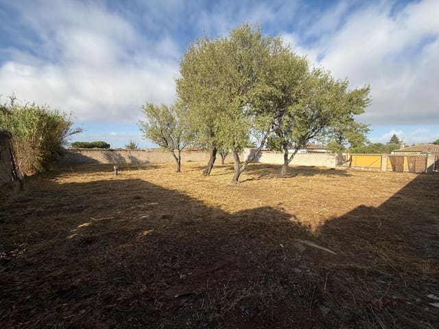 Ubebygd land til salgs i Chiclana de la Frontera - € 103 630 (Ref: 9987441)