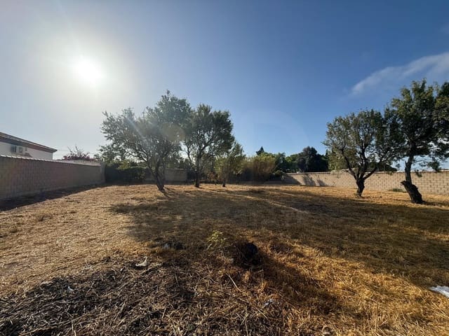 Ubebygd land til salgs i Chiclana de la Frontera - € 103 630 (Ref: 9987441)