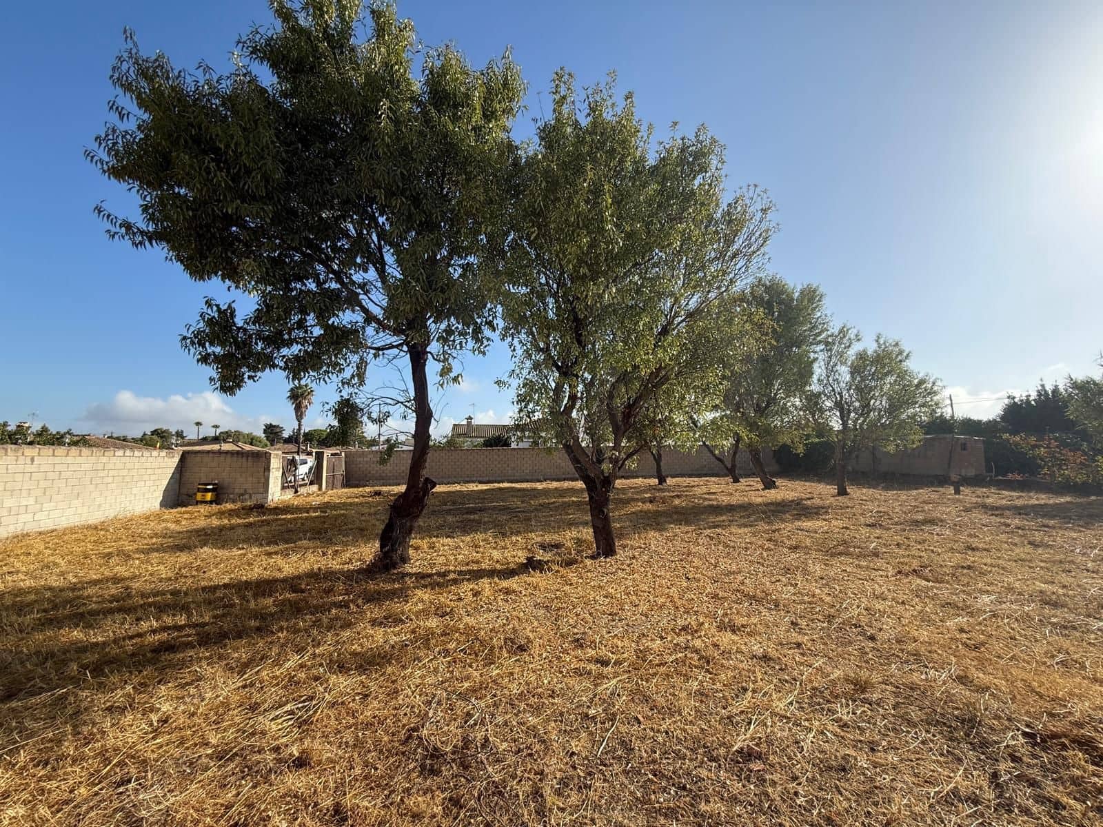 Undeveloped Land for sale in Chiclana de la Frontera - € 103,630 (Ref: 9987441)